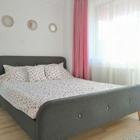 Cozy Apartment Bujorilor Suceava Buitenkant foto