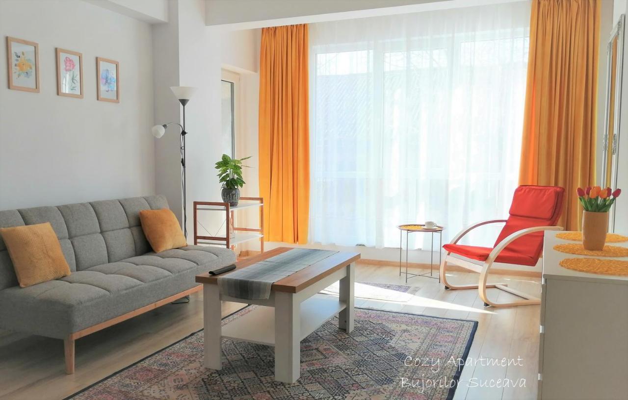 Cozy Apartment Bujorilor Suceava Buitenkant foto