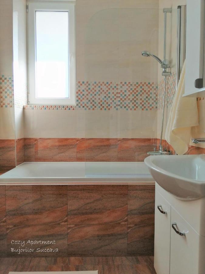 Cozy Apartment Bujorilor Suceava Buitenkant foto