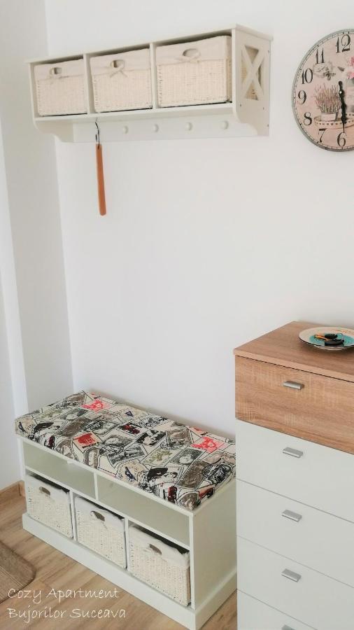 Cozy Apartment Bujorilor Suceava Buitenkant foto