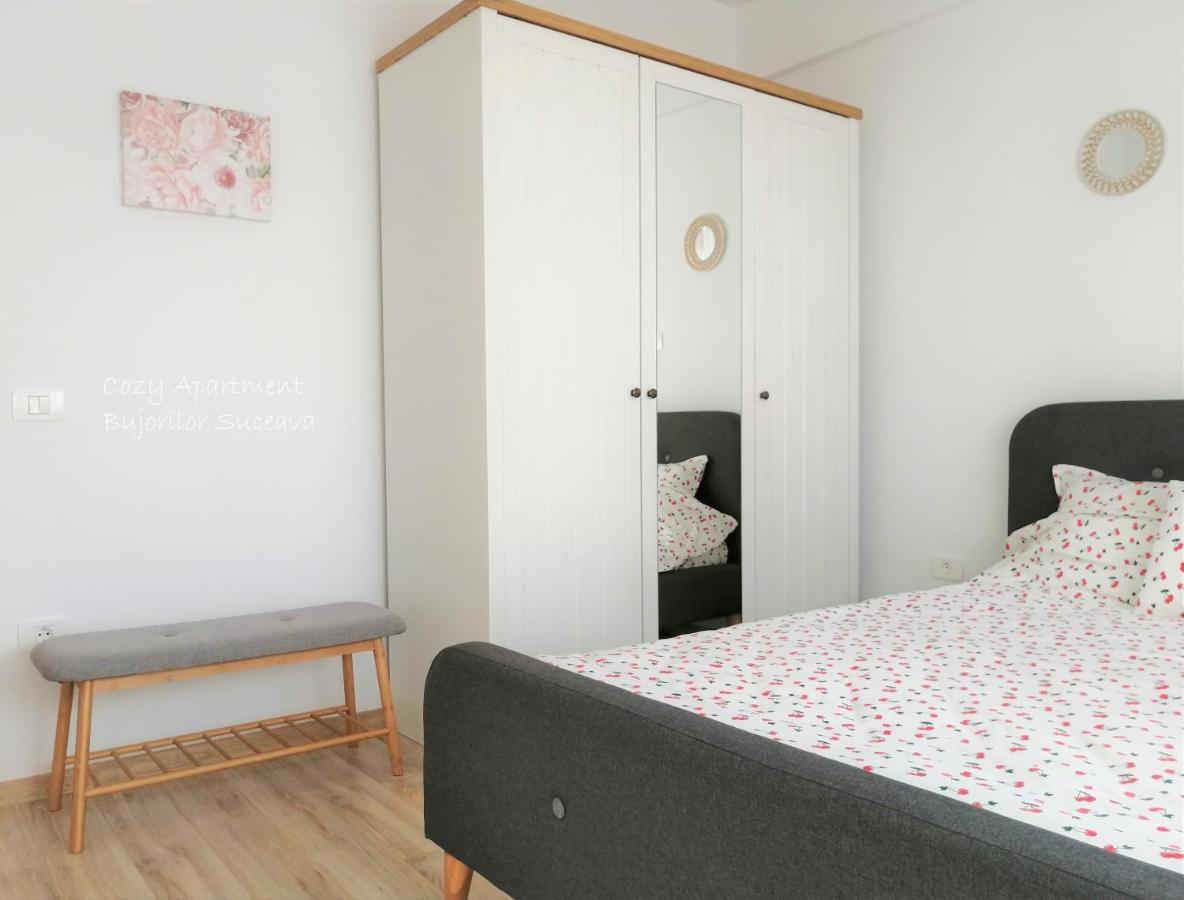 Cozy Apartment Bujorilor Suceava Buitenkant foto