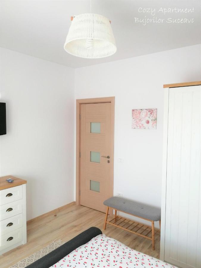 Cozy Apartment Bujorilor Suceava Buitenkant foto