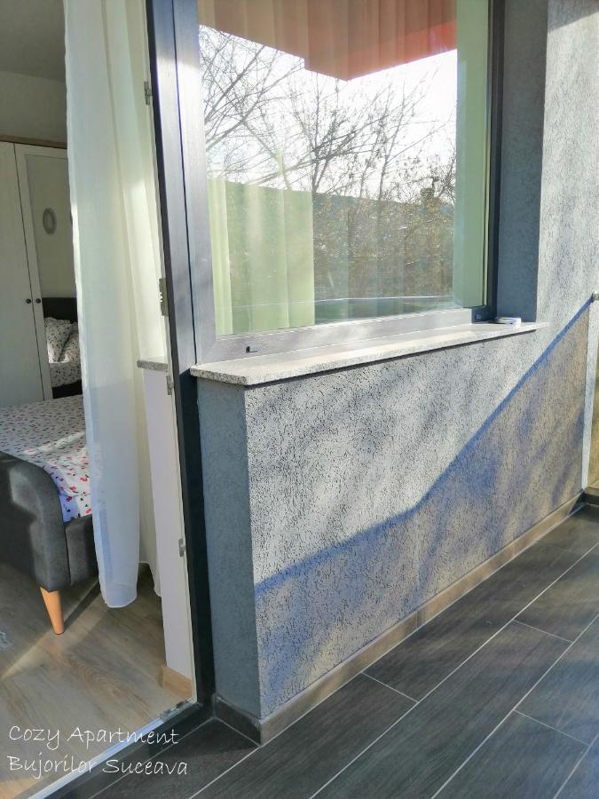 Cozy Apartment Bujorilor Suceava Buitenkant foto
