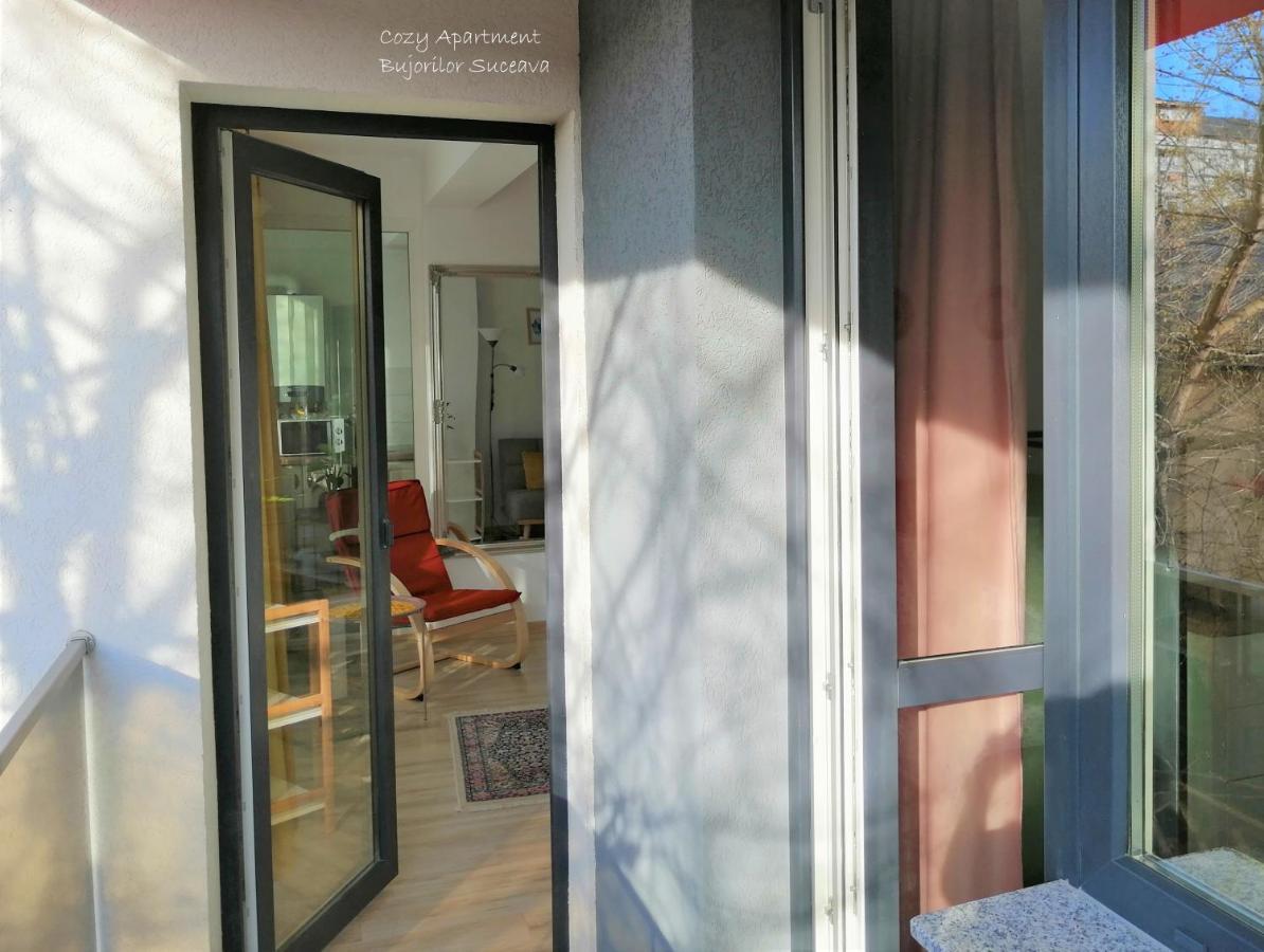 Cozy Apartment Bujorilor Suceava Buitenkant foto
