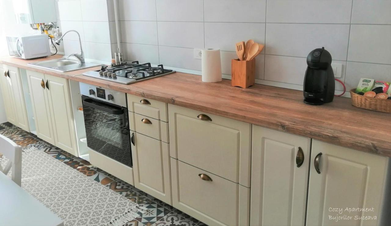 Cozy Apartment Bujorilor Suceava Buitenkant foto
