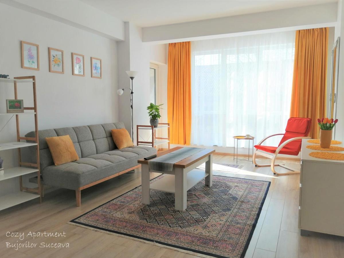 Cozy Apartment Bujorilor Suceava Buitenkant foto