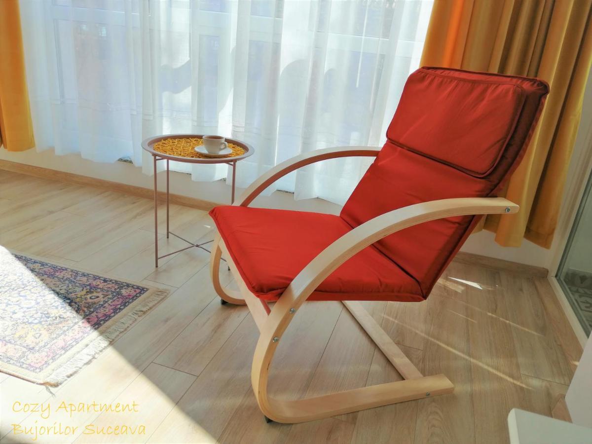 Cozy Apartment Bujorilor Suceava Buitenkant foto
