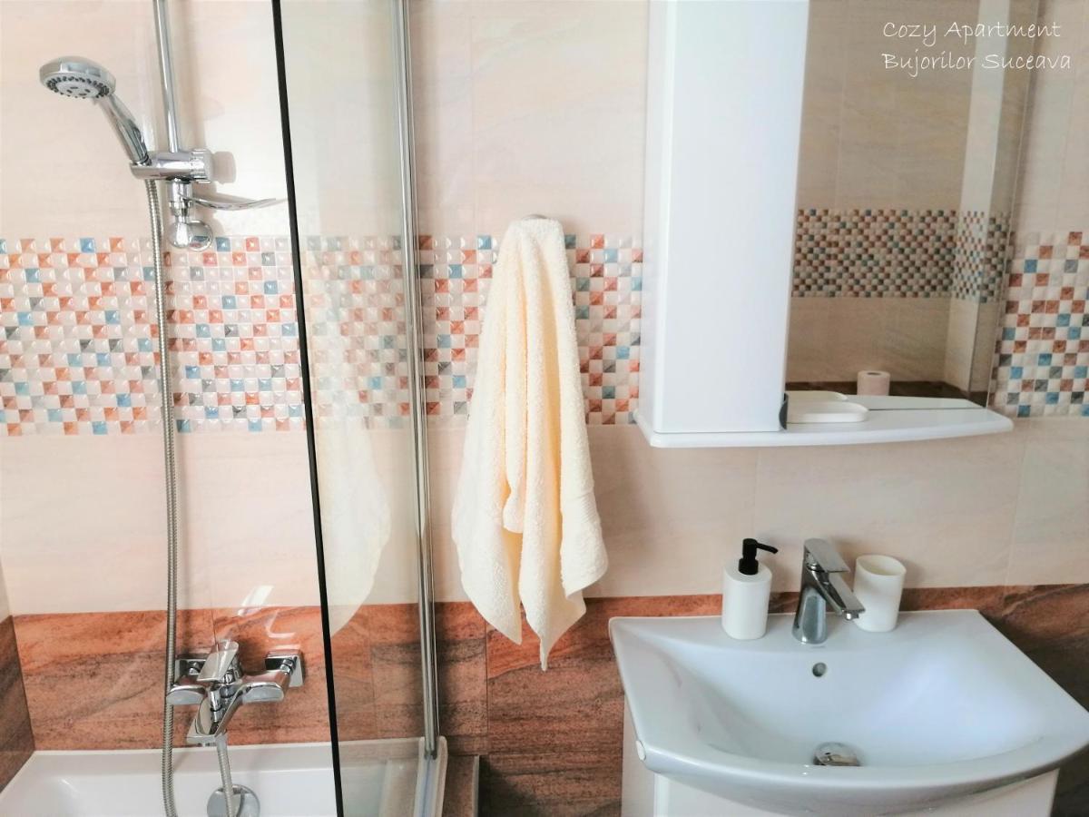 Cozy Apartment Bujorilor Suceava Buitenkant foto