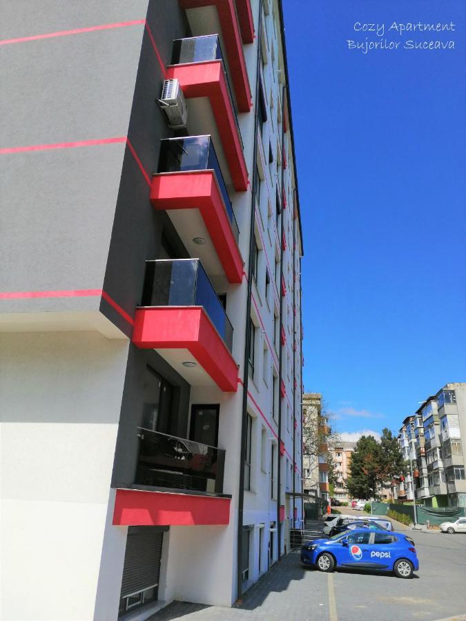 Cozy Apartment Bujorilor Suceava Buitenkant foto