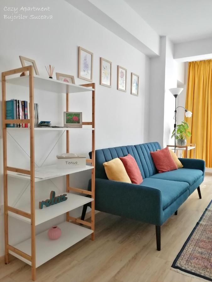 Cozy Apartment Bujorilor Suceava Buitenkant foto